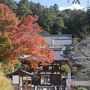 奈良の紅葉を求めて（飛鳥・談山神社・吉野山）