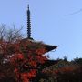 奈良の紅葉を求めて（飛鳥・談山神社・吉野山）