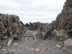 室戸岬の周辺にはこういう独特な地形があり、タービダイト層と言うそう。