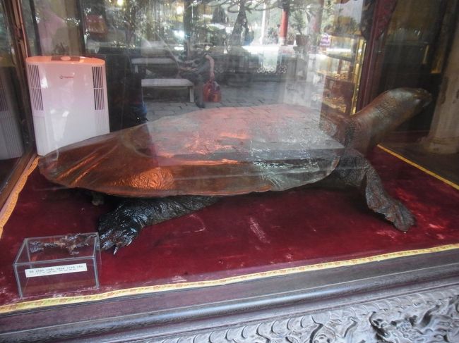 1968年にこの湖で見つかった巨大亀の剥製<br /><br />…ということですが、なんか人形ぽくも見えます（汗）