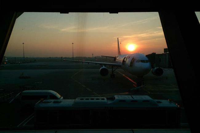 ゲートに到着すると朝日がまぶしい★<br /><br />結構寒いんですけど…