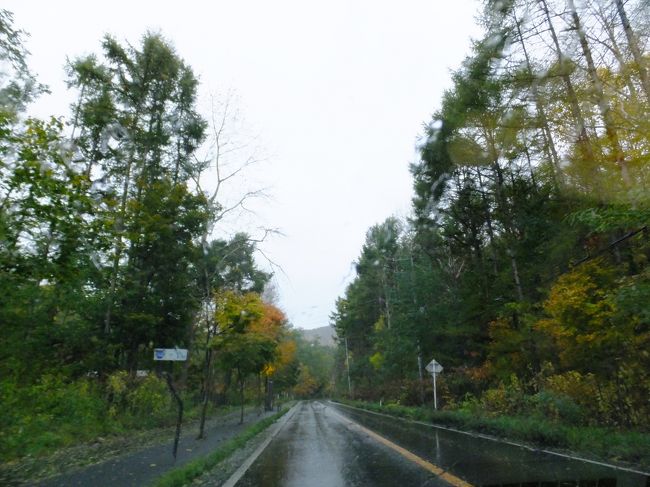 名残惜しいけどチェックアウト。そして雨…。<br />とりあえず観光してみましょうと、近くの昭和新山というところへ。<br />http://wakasaresort.com/usuzan/<br />ネットではよくわからなかったのですが、有珠山という活火山の周辺が整備され観光スポットになっているようです。ロープウェイに乗ると火口や洞爺湖が見渡せ、麓にはお土産屋さんとクマ牧場。昭和新山というのは有珠山の活動に伴って2年ほどでできた山だから有名なんですね。<br /><br />しかし有珠山ロープウェイは雨風のため休止。知らずに駐車場に入って駐車料金を取られる(怒)←先払いだったから<br />仕方ないのでちょっと歩いてみますか…。
