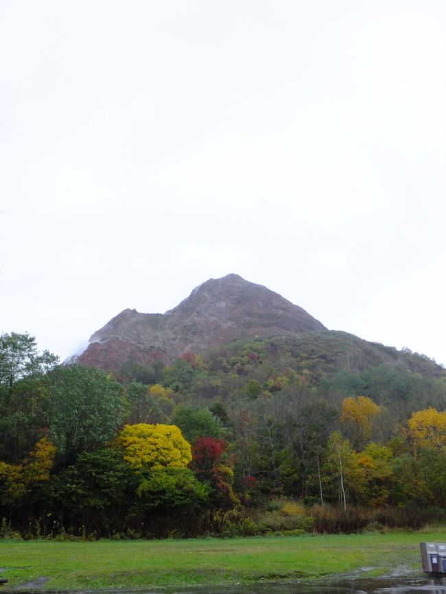写真ではわかりませんが、かなりの大雨。晴れ女パワーはドコいったんだか…。<br />どうやら台風の影響で日本全域に強い雨が降っていたもよう。この雨の中、これから函館へ向かいます。<br />お天気に恵まれず、不完全燃焼な洞爺湖観光。ホテルは満足でしたが次は天気のいい時にゆっくりまわりたいなぁ。。。<br /><br />さて、次回の旅行記・函館で驚いたのは美人と運転(笑)　続きますっ！<br /><br />