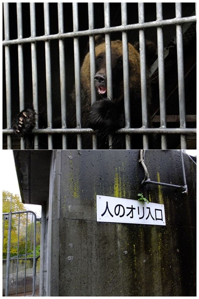 クマのオリ。<br />人のオリ。