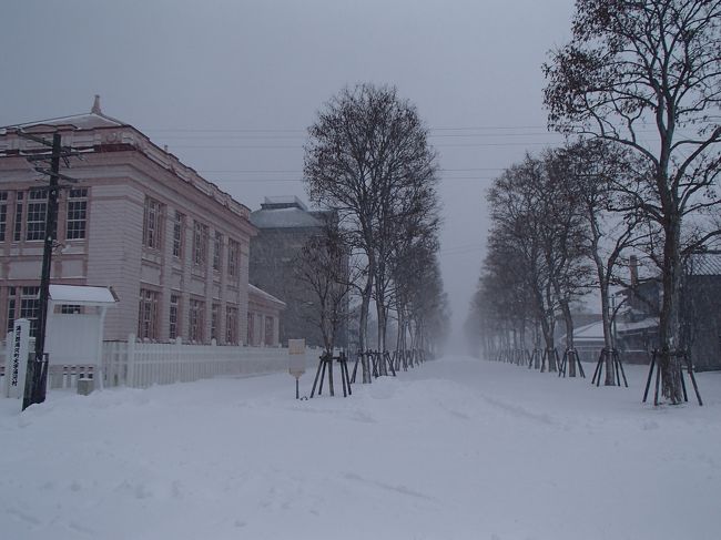 さて。村内を散策してみましょう。<br /><br />タイムスリップしたかのような町並みです。