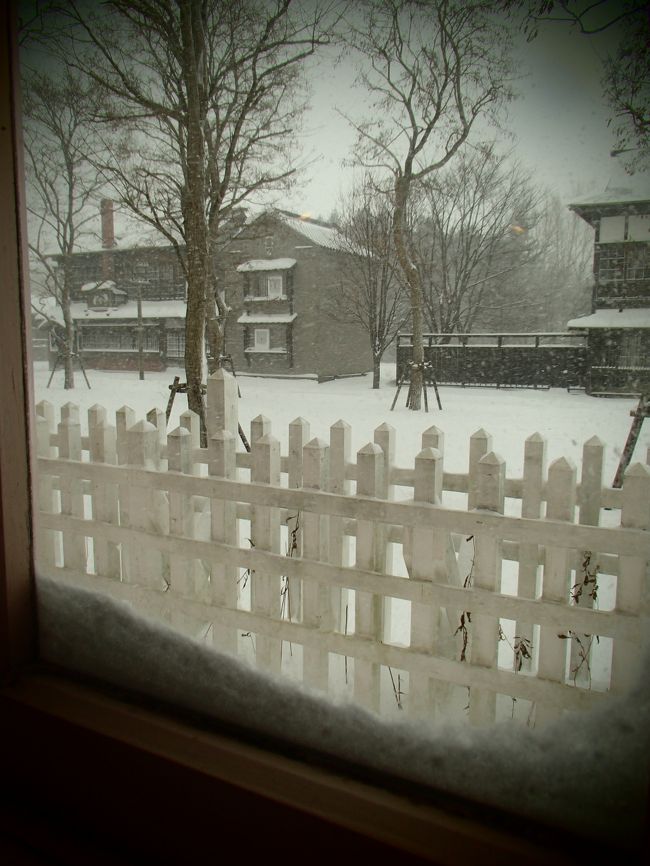 建物の中にも入れます。