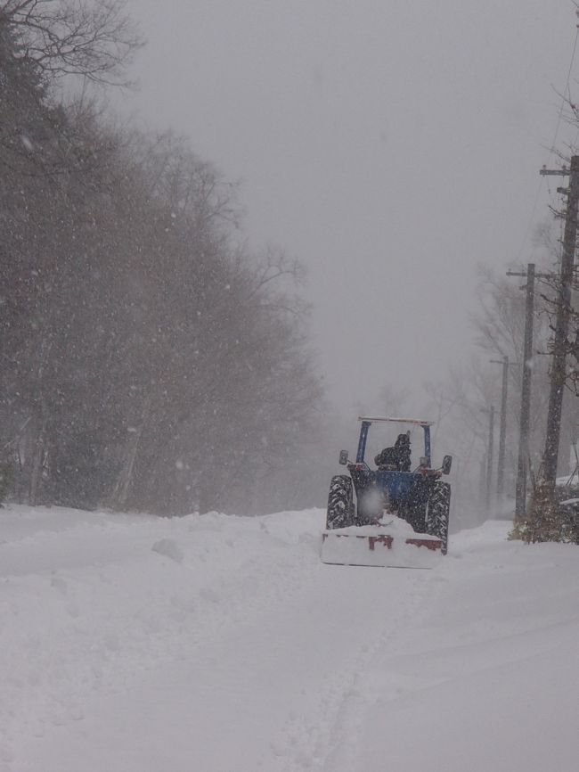 雪も風も強くなってきてしまい。<br />全てを見学する事は断念しました（涙）<br />半分も見れなかったかも・・・。<br /><br />あまりの雪に除雪車も出動です。