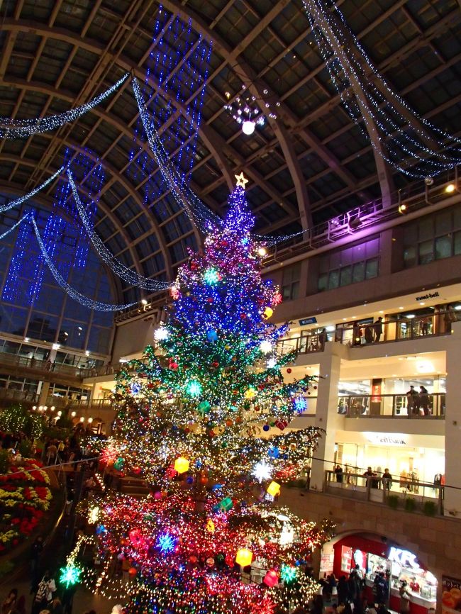 アトリウムのには大きなツリーが☆