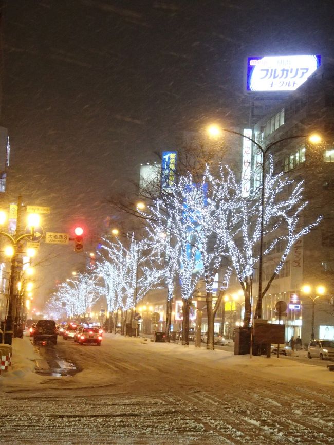 さて、地上に出てみますかね。<br /><br />やっぱり少し吹雪いてる・・・