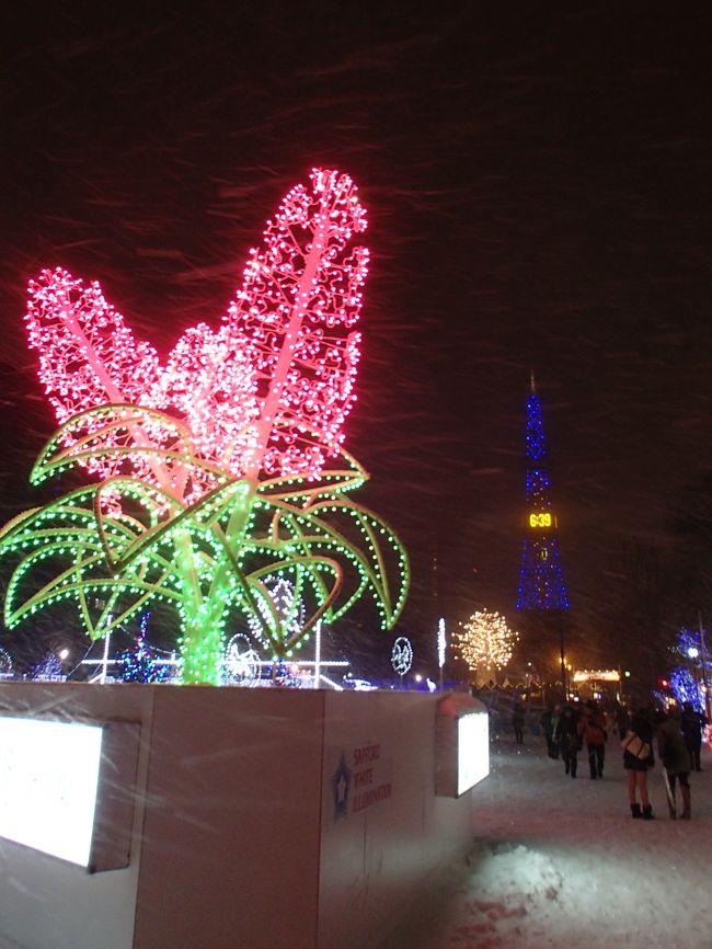こういう天気だと<br />あまり写真を撮る気になりません・・・。<br />レンズに雪がくっつくし・・・。<br /><br />イルミネーションは<br />思った程豪華ではありませんでしたが<br />でも十分きれいでしたよ〜☆