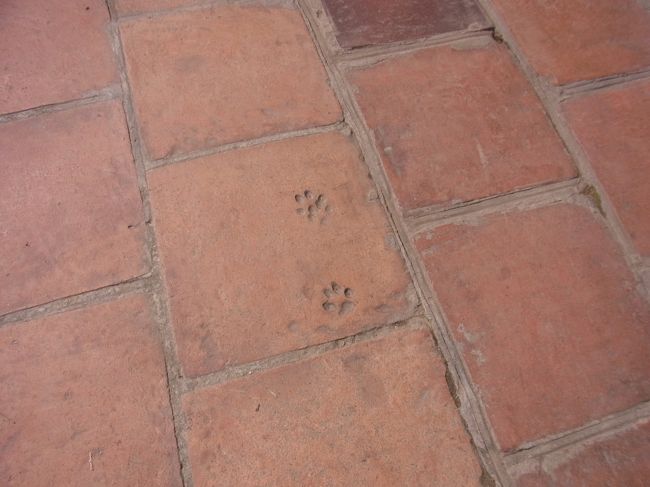 隠れミッキーではありません。<br />敷地内、いや、街中にも、こんな感じのものが、けっこうあります。