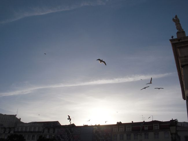 ロシオ広場をでっかい鳩が飛んでる！<br />と思ったらかもめでした。<br />港町ですね〜。