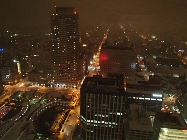 すすきのから札幌駅まで地下鉄で戻りました。<br /><br />ホテルからの夜景を楽しみにしていたのですが<br />日曜日の夜景は寂しかった…。<br />