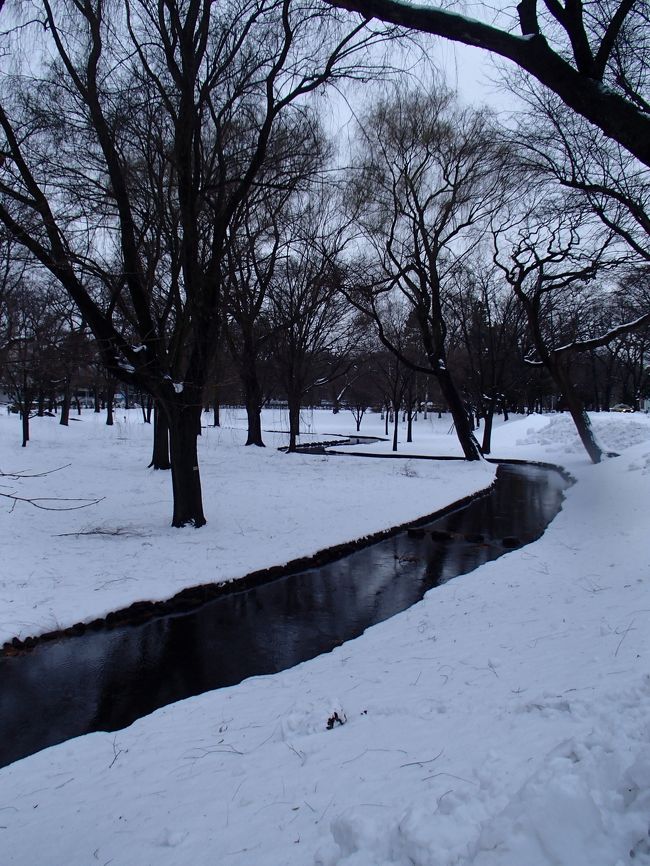 と思ったら<br />雨が降ってきた・・・(--;