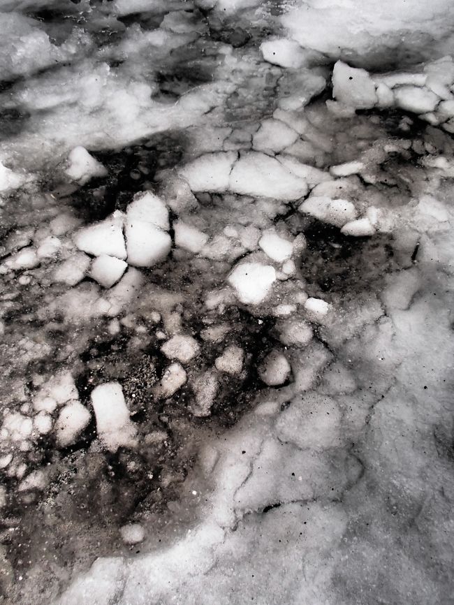 かなりの積雪があった所に<br />雨が降ったものだから<br />足元はグチャグチャです。<br /><br />写真は水溜りなのですが<br />流氷のようになってました(^^;