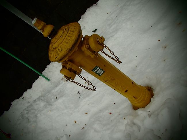 小樽にも函館みたいな消火栓があるのですね〜。