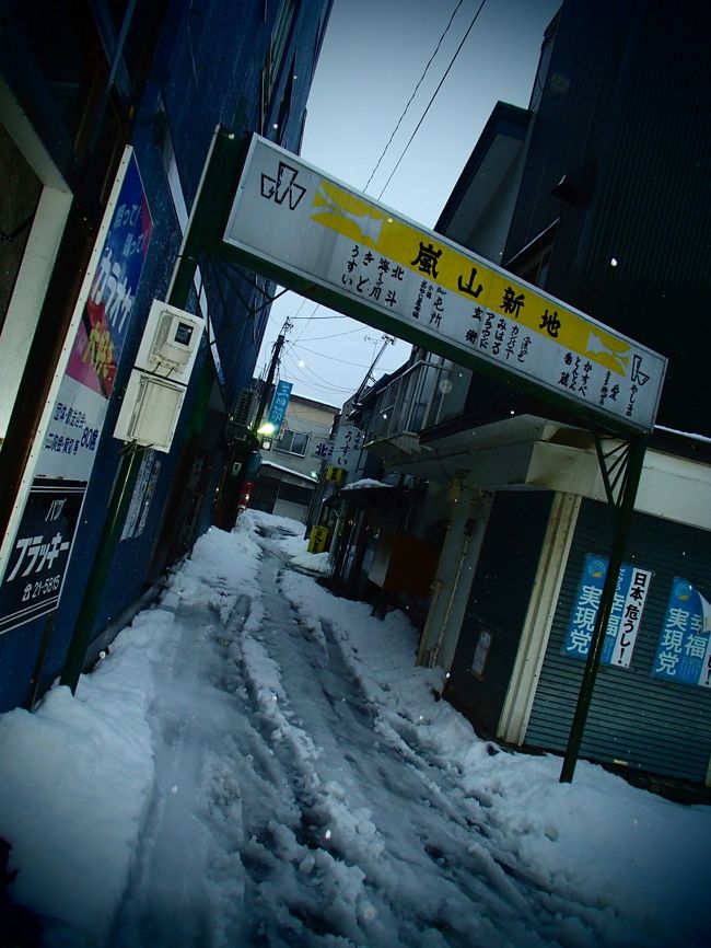 写真のような街や商店街も<br />とっても面白そうでした。<br /><br />折角小樽の町の魅力に気が付いたのに<br />帰る時間になってしまい<br />後ろ髪引かれる思いで<br />小樽の町を後にしました。