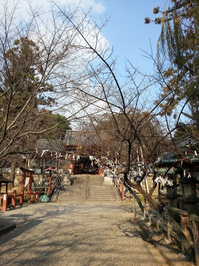 鳥居から境内を。遠く見えるけど近い