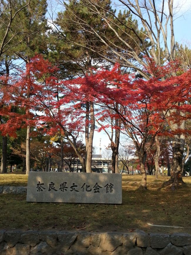 奈良県文化会館