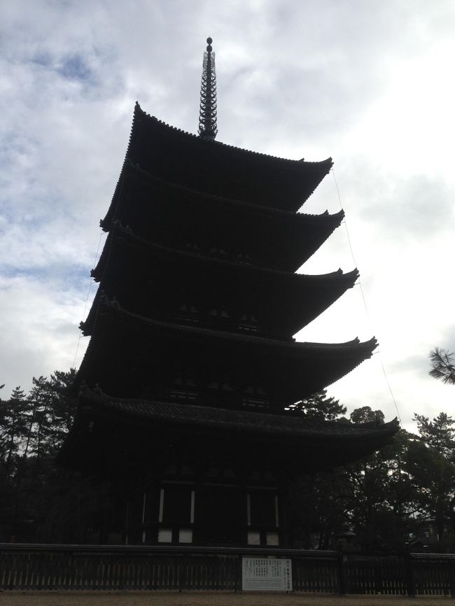 興福寺　五重塔