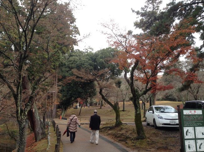 歩く　歩く・・