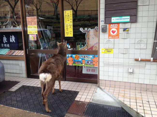 こんにちわぁー