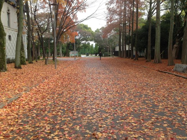 お城周辺はお散歩コース