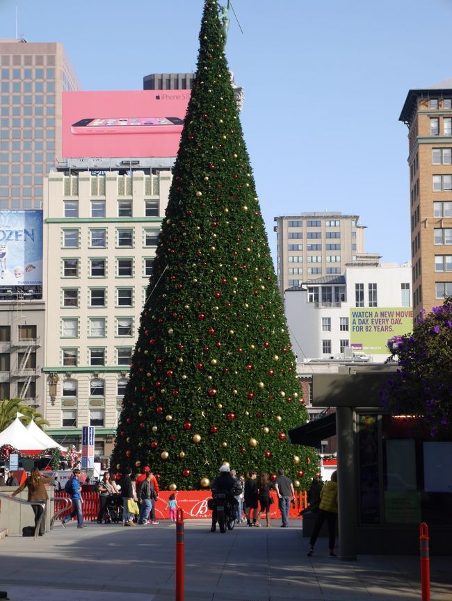 スーツケースをゴロゴロしながら坂を上って行きます。<br />右側にはユニオンスクエアの大きなツリー！