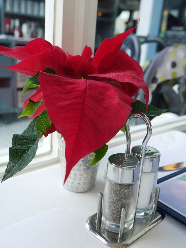案内された席にはポインセチアの葉っぱが。<br />ホリデーシーズンです。