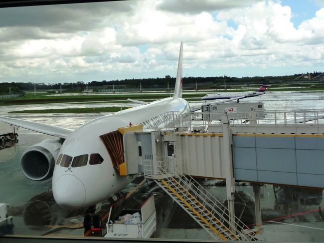 色々悩んでみたもののＪＡＬ直行便は楽珍なので、初めてボーイング７８７に搭乗することにしました。ちょっと不安。<br /><br />チケットはダイナミックセイバーのタイプＦですが、ツアープレミアム登録していますので、マイレージは１００％いただけます。<br />