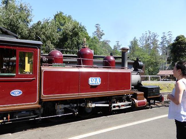 子供の卒業式に出席。ついでに、パッフィンビリー鉄道 ・ ダンデノン丘陵 ヤラバレー・ワイナリー、トラムレストランでのディナー 。