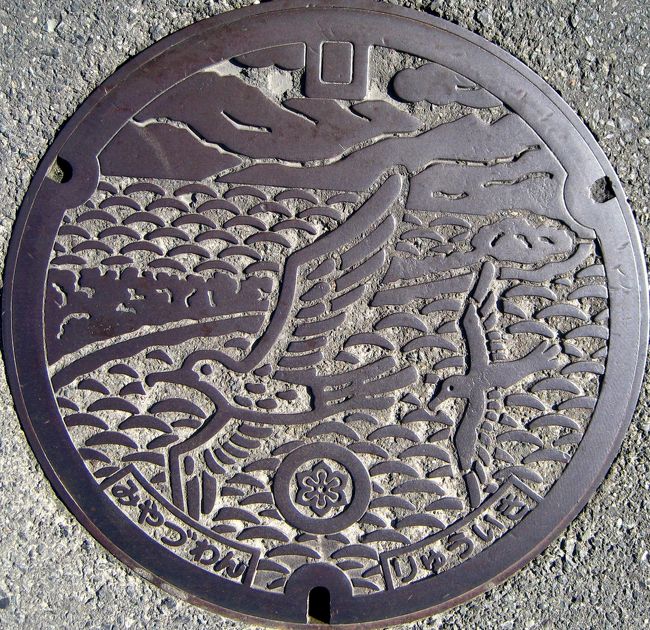 京都宮津：かもめ