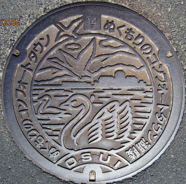  島根湖陵：白鳥