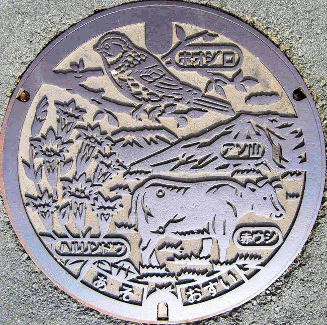 九州阿蘇：ほおじろ