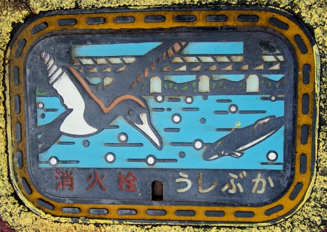 天草牛深：かもめ？