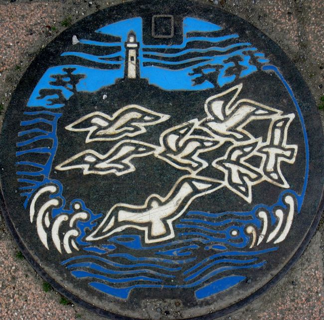 福島いわき：カモメ