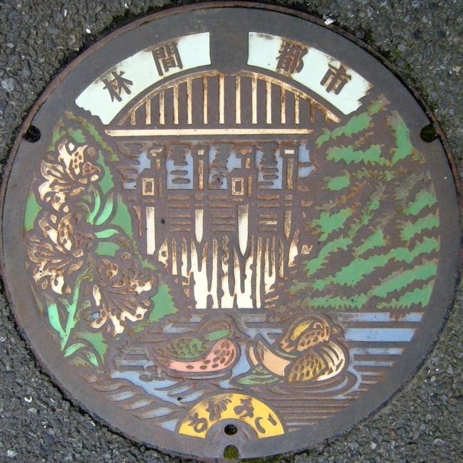 神奈川相模湖：おしどり