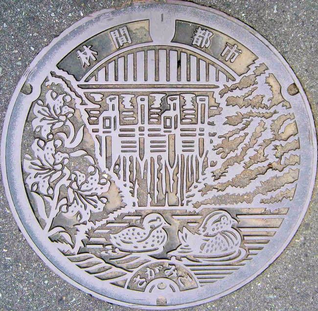 神奈川相模湖：おしどり