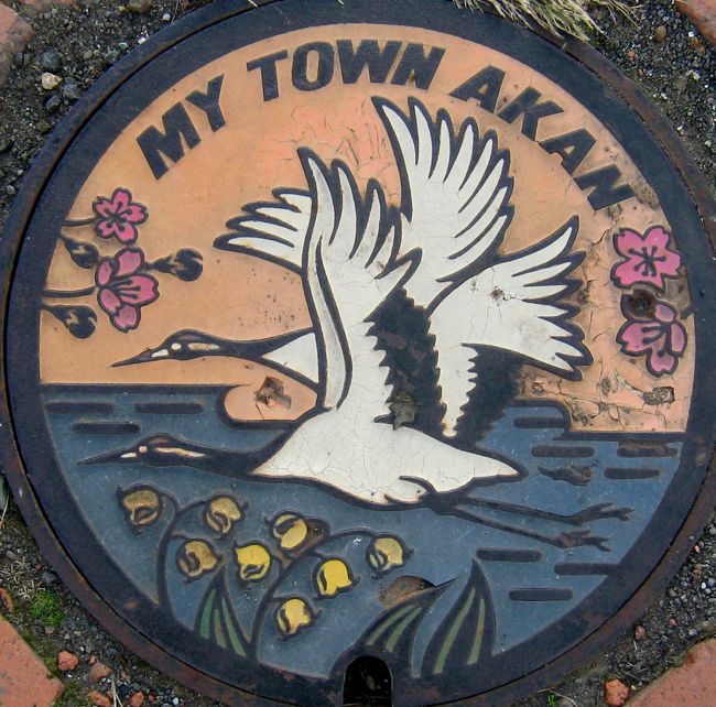 北海道阿寒湖：丹頂鶴