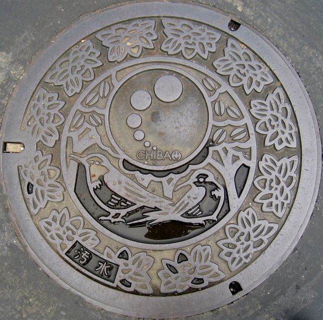 千葉：この鳥なんの鳥？