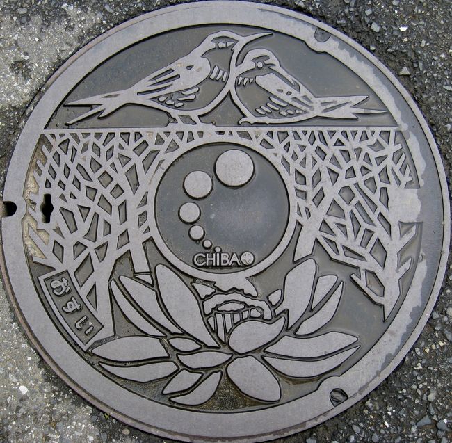 千葉：この鳥なんの鳥？