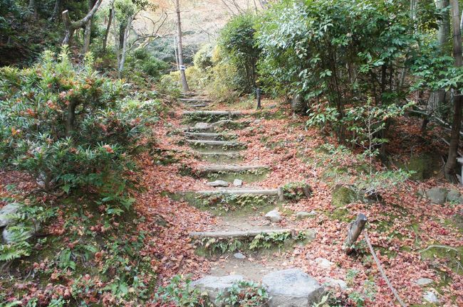 亀岡・嵐山から、伏見・灘の旅(一日目)~嵐山から明智光秀ゆかりの亀岡を巡ります。福知山より生々しいかも~