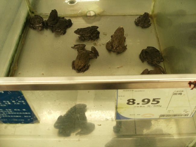 蛙は８，９５元と更にお値打ち （笑）