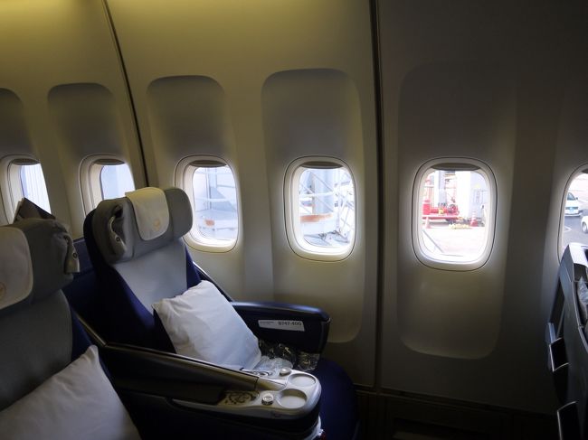 さすがに広い。<br />約窓3個分。