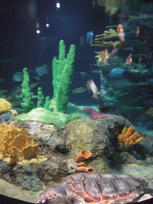 全体を見るとかわいらしい。