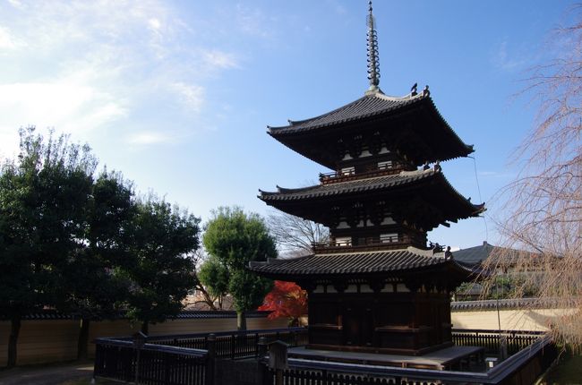 南円堂の南側にある三重塔。そう興福寺には三重塔もあるんです！知ってましたか？