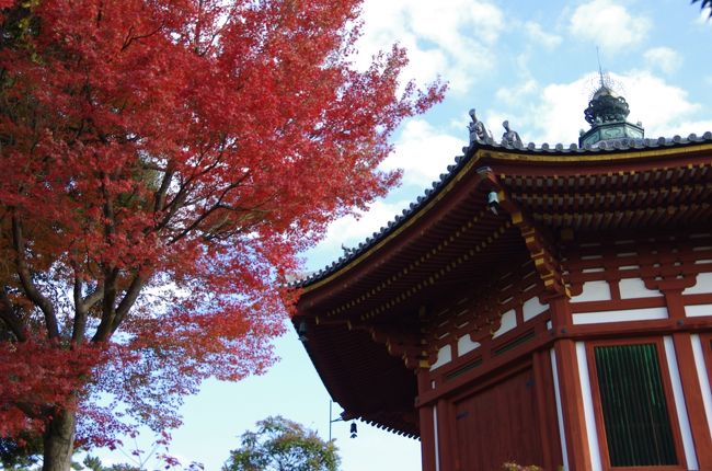 そうすると南円堂に前にでてきます。。