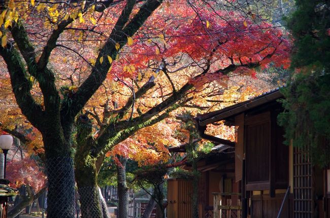 奈良公園内にはコテージ風の料理旅館があります。