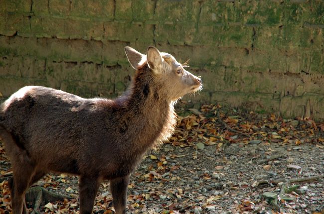 おはようーー。
