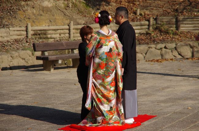 こんな撮影会も。。